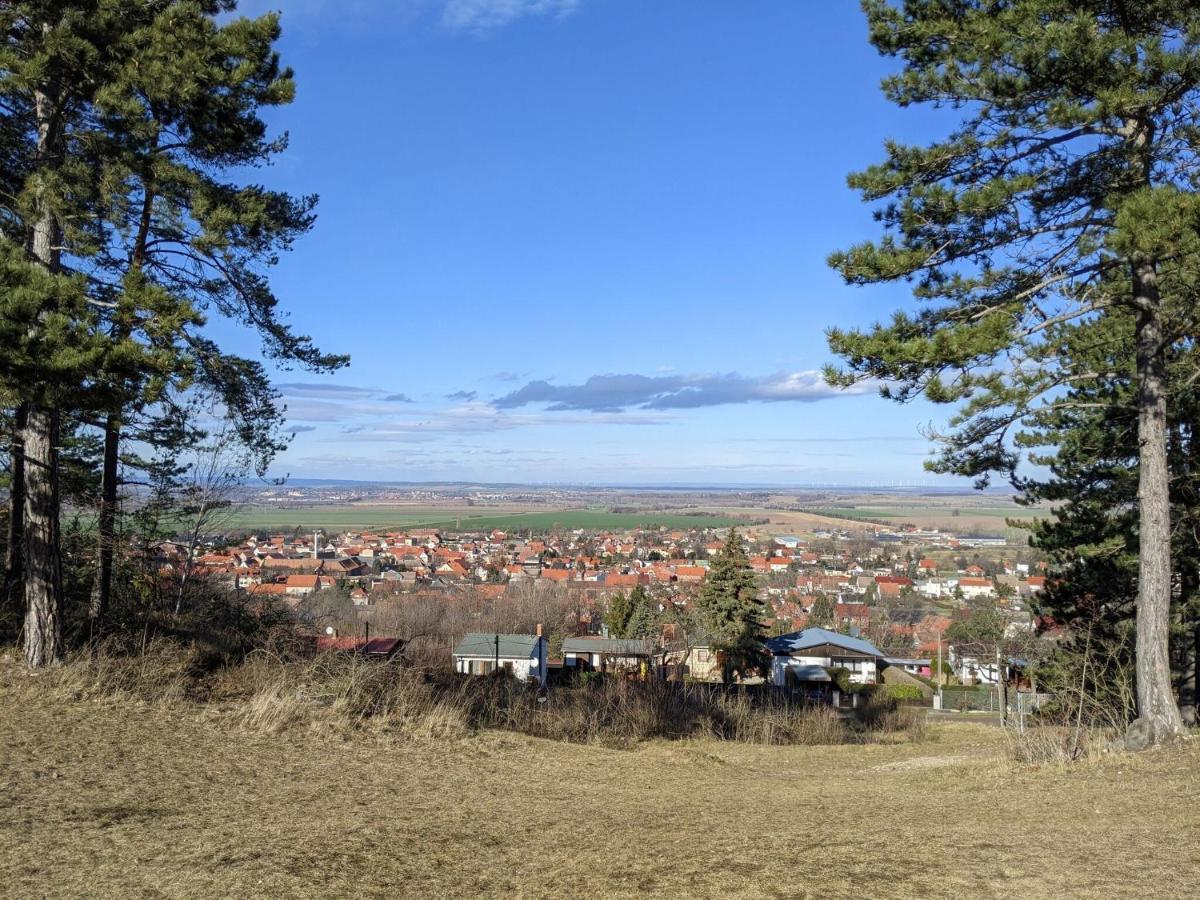 Holiday Home On The Mountain With Views Ballenstedt Exteriör bild