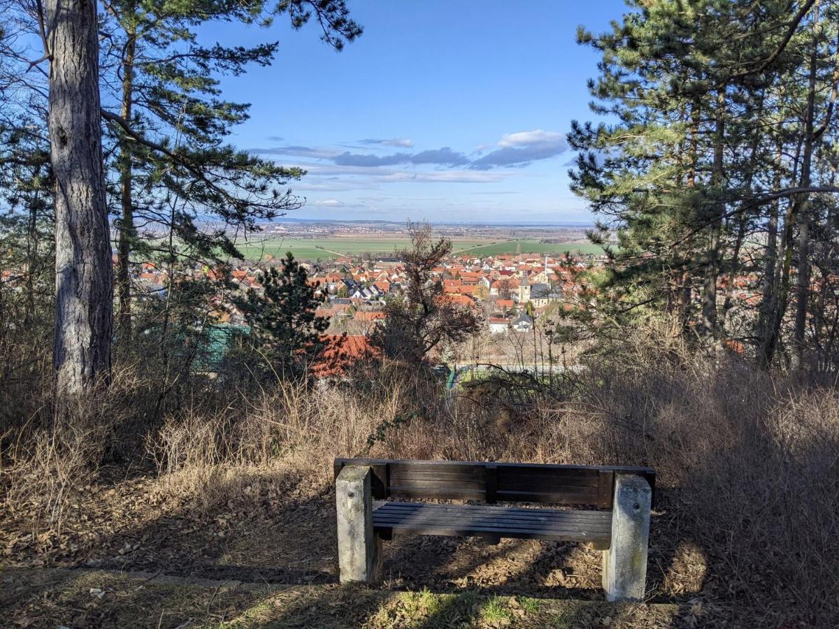 Holiday Home On The Mountain With Views Ballenstedt Exteriör bild